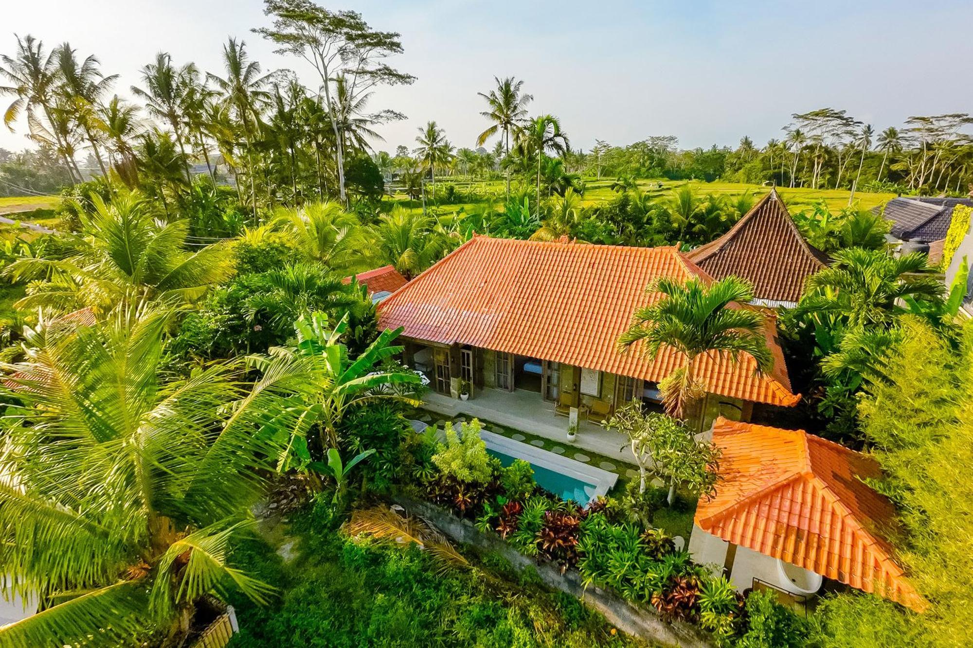 Nyaman Villas By Evdekimi Ubud Exteriör bild
